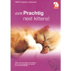 BOEK EEN PRACHTIG NEST KITTENS