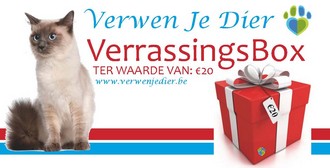 VerrasseingsBox Kat 20 euro