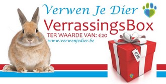 VerrassingsBox Konijn 20 euro