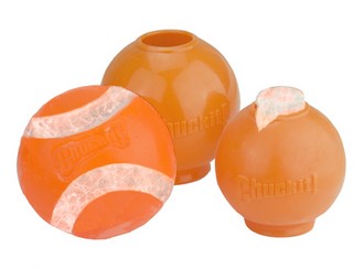 CHUCKIT HYDRO FREEZE BALL M