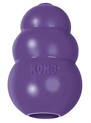 KONG SENIOR PAARS L