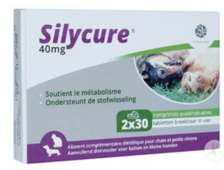 SILYCURE 40MG 60CO